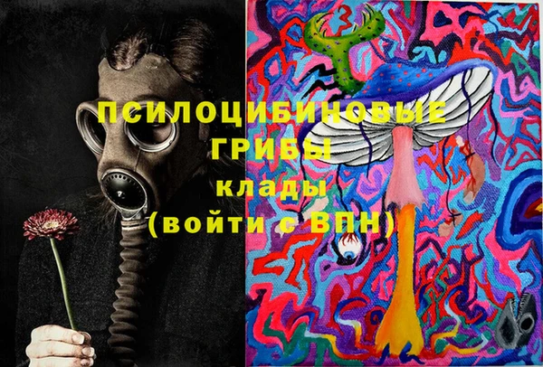 гашиш Дмитриев