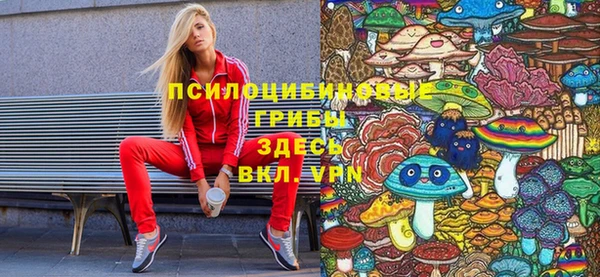 гашиш Дмитров