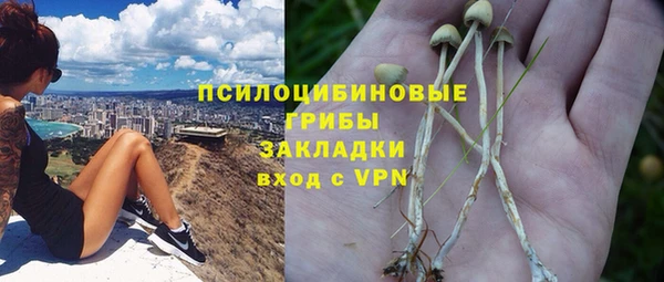 гашиш Дмитриев