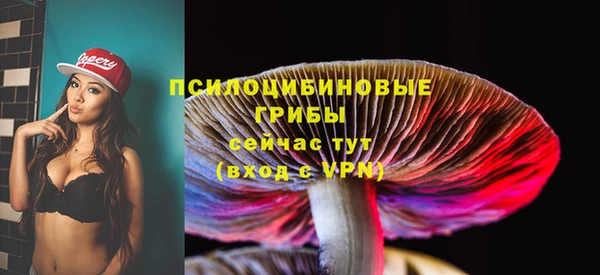 тгк Елизово