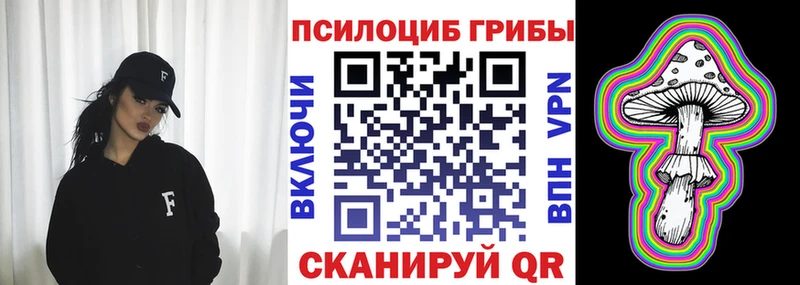 ОМГ ОМГ как войти  наркошоп  Каменногорск  Псилоцибиновые грибы GOLDEN TEACHER 