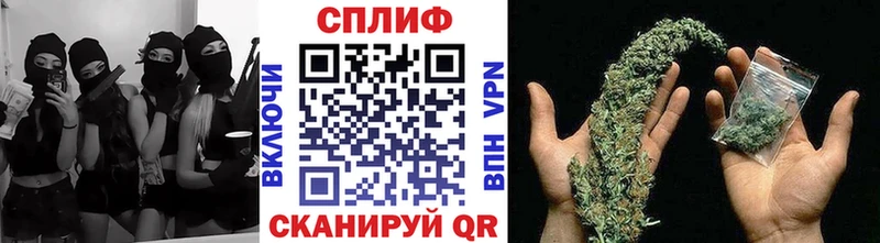 МАРИХУАНА конопля  Каменногорск 